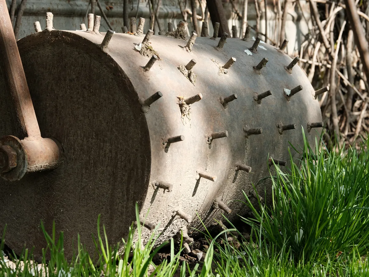 Old, rusty roller with metal spikes for aeration of grass. Aeration grass in the garden