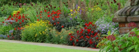A garden footpath separates lawn from border