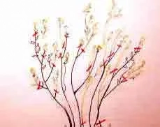 This is what the main framework will look like after pruning