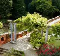 Regular pruning of this wisteria to allow public access through the archway