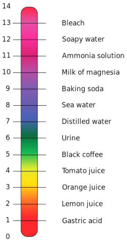 PH Scale